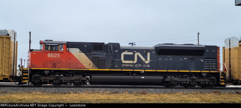 CN 8825